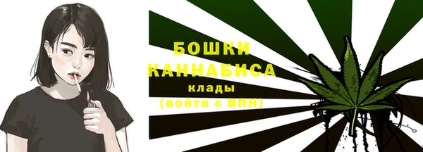 гашик Белоозёрский