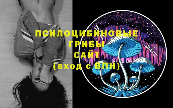 2c-b Белокуриха