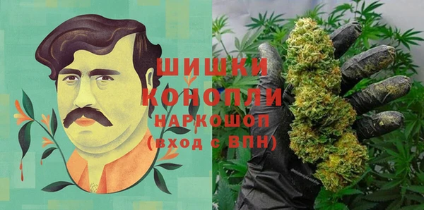 дурь Осинники