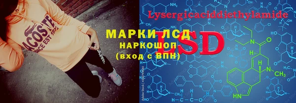 шишки Богородск