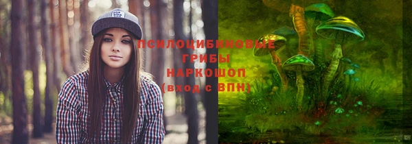 2c-b Белокуриха