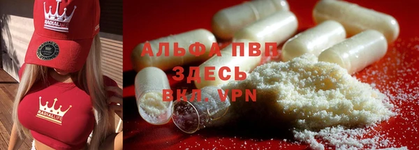 2c-b Белокуриха
