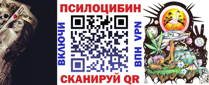 магазин продажи наркотиков  Озёрск  Псилоцибиновые грибы мицелий 